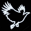 colombe
